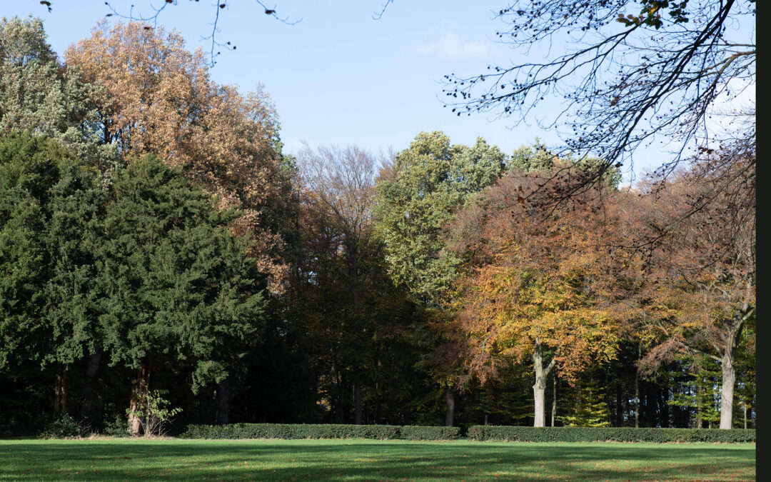 Herstelplannen voor de Hulst