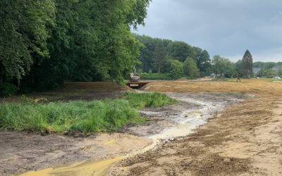 Nieuwe waterberging en natuur beschermt stad Oldenzaal bij piekbuien